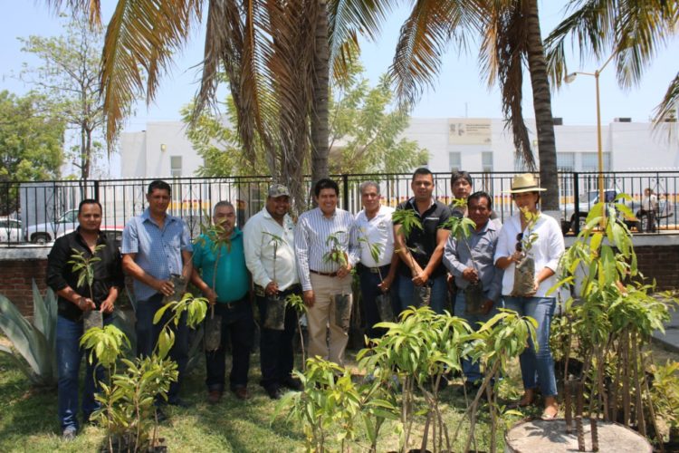 Llama edil de Múgica a partícipar en campaña de reforestación