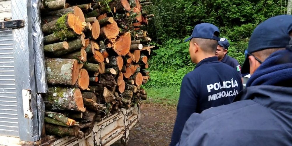 Continúa SSP acciones operativas para preservar los bosques michoacanos