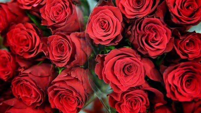 Autorizan a "mercaderes de todo" acaparar la venta de flores