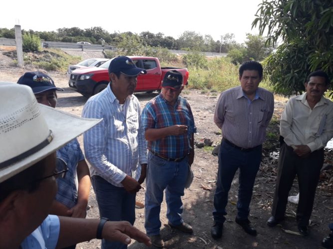 Especialistas de U. de Chapingo visitan el campo de Múgica