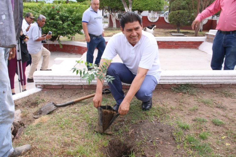 Se reforestará Múgica con mil más de mil árboles: R. Arreola
