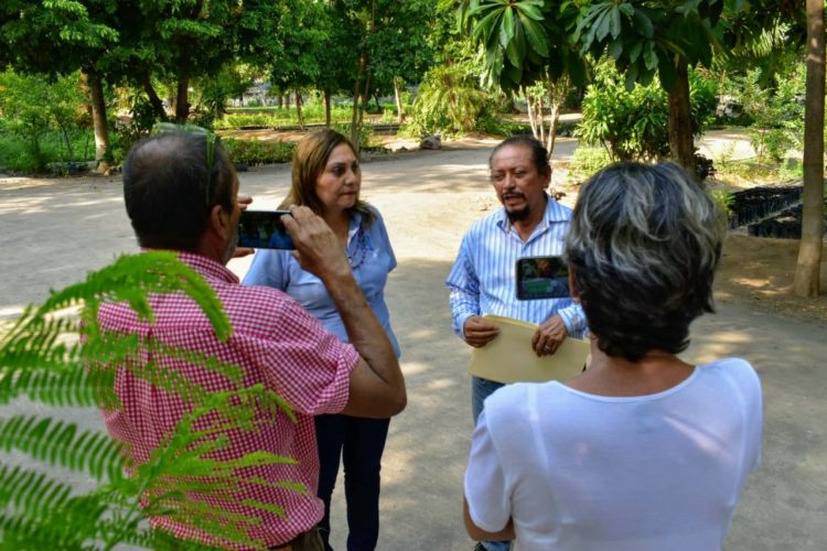 Entrega Cuquita Cabrera primeros 18 mil árboles al Vivero Municipal de Apatzingán.