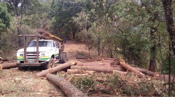 Refuerza FGE acciones contra delitos ambientales