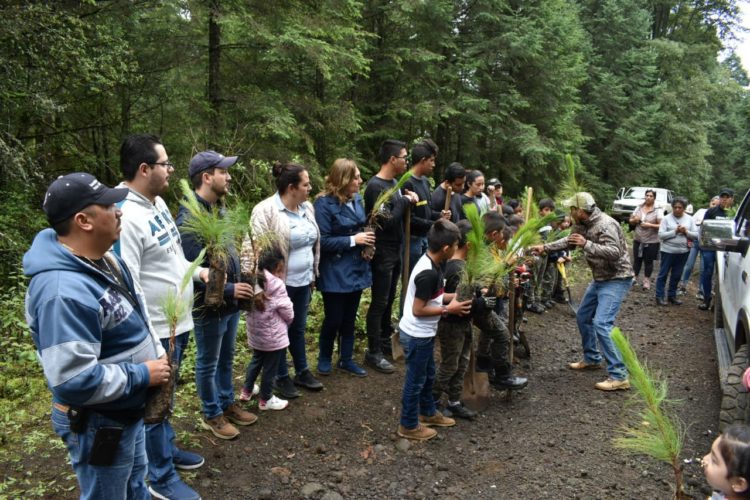 Se reforesta zona protegida de Peribán.
