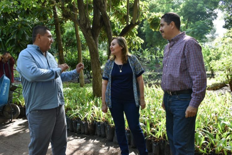 Cuquita Cabrera cumple tercera entega de árboles al vivero