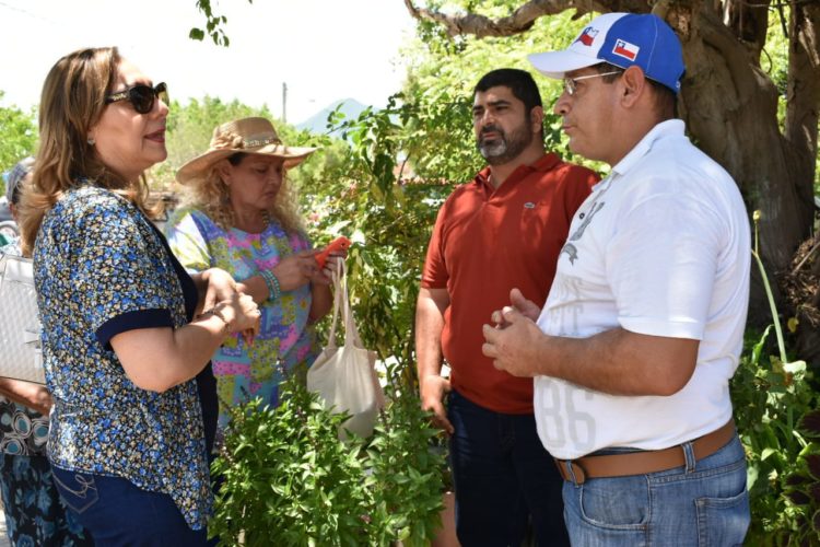 Destina Cuquita Cabrera 11 mil plantas para Tepalcatepec