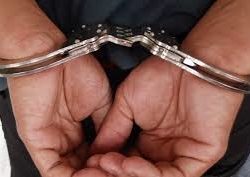 Abuelo presunto violador, detenido en Apatzingán IP