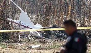 Cinco personas mueren al desplomarse una avioneta