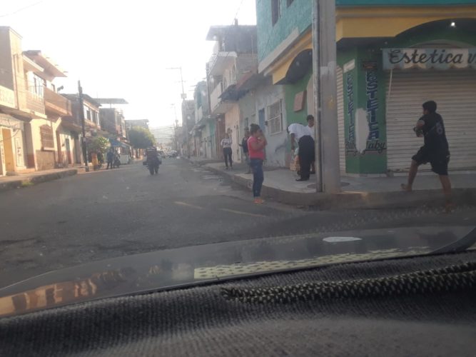 Abejas atacan a familias; una mujer grave