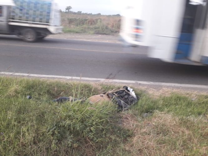 Tiran un cadáver embolsado