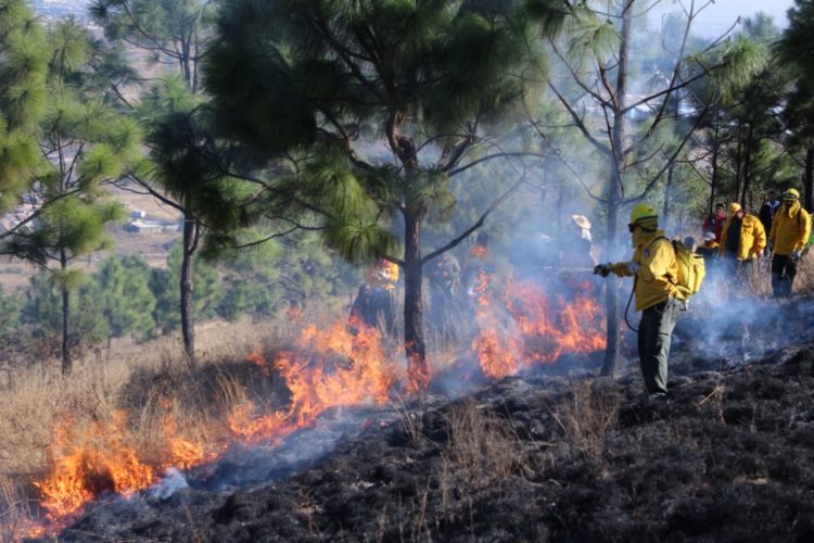 Ante proximidad de temporada de incendios forestales, Michoacán impulsa prevención