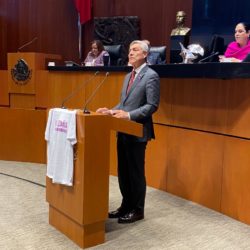 Igualdad para mujeres en procesos internos de partidos