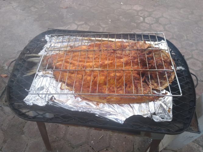 Colonias populares de Apatzingán, electas para programa de pescado barato