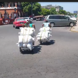 Apatzingán desafía al Coronavirus: sale a trabajar