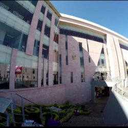 IMSS dará informe telefónico sobre evolución de pacientes