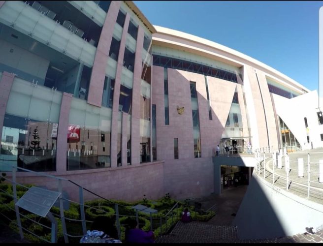 IMSS dará informe telefónico sobre evolución de pacientes