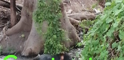 Encuentran cuerpo putrefacto en el río Apatzingán