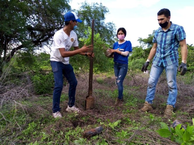 Ijumich y "Coneczyones" reforestan Lago de Chandio