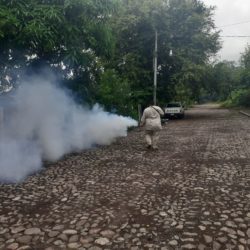 Frontal combate al zancudo, en Parácuaro