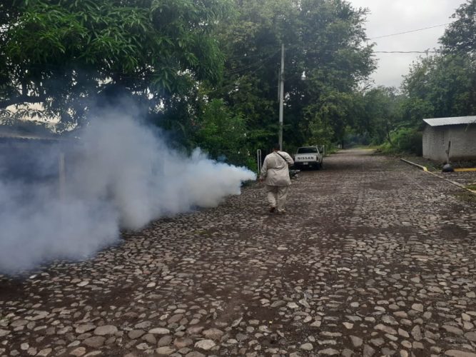 Frontal combate al zancudo, en Parácuaro