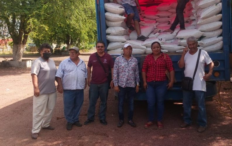 Productores reciben del gobierno municipal apoyo en fertilizante