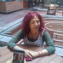 Inadmisible que prianistas elijan dirigencia nacional de Morena: Carmen Zepeda