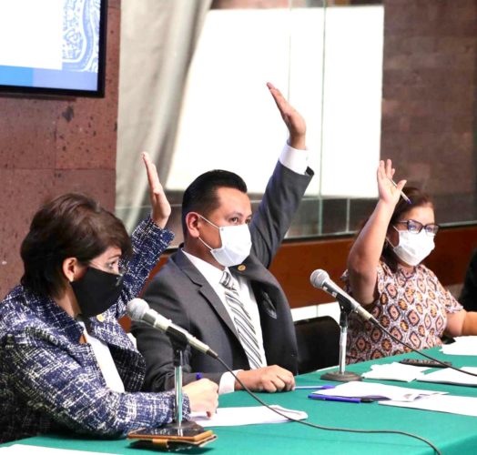 Por unanimidad, dictamen para reforma de leyes de vivienda: Torres Piña