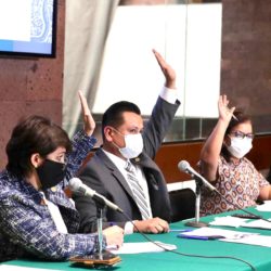 Por unanimidad, dictamen para reforma de leyes de vivienda: Torres Piña