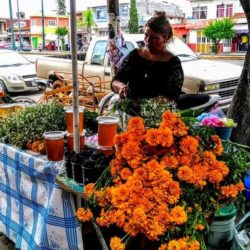Instalan fuera de Icatmi-Apatzingán a vendedores de flores