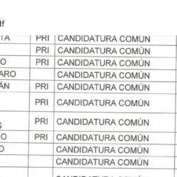Carro completo" para el PRI, en Apatzingán