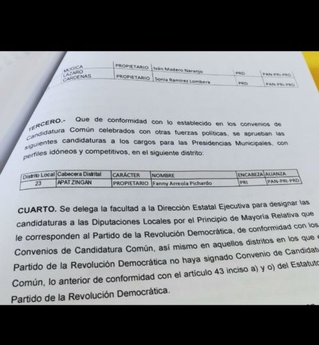 Fanny Arreola, candidata a diputada local por el distrito 23