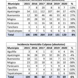 Estadística de homicidio doloso y culposo, en 2020