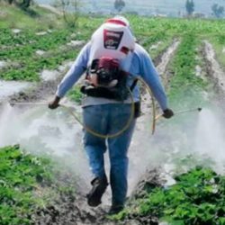 El campesino recuerda a la administración de JLCC como "la mejor": M.A. Ávalos
