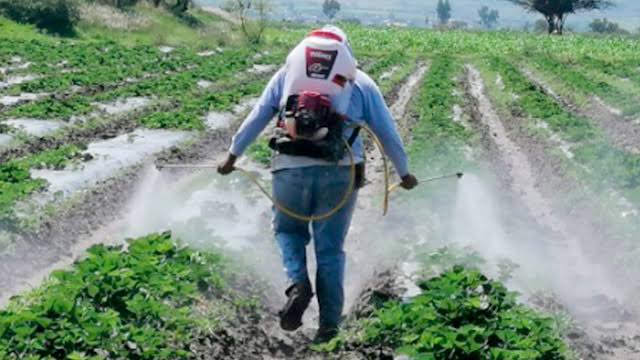 El campesino recuerda a la administración de JLCC como "la mejor": M.A. Ávalos