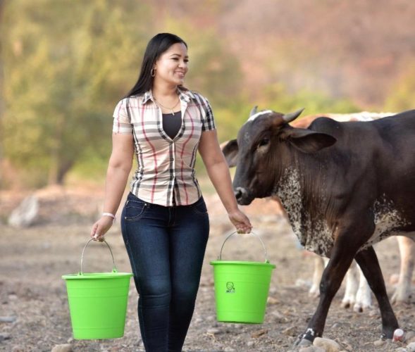 "El próximo gobierno municipal debe meter la mano fuerte en favor del campo": Isabel Torres 