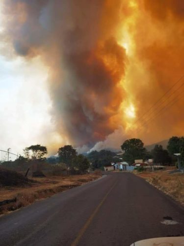 Se incendia basurero municipal; bomberos atacan fuego