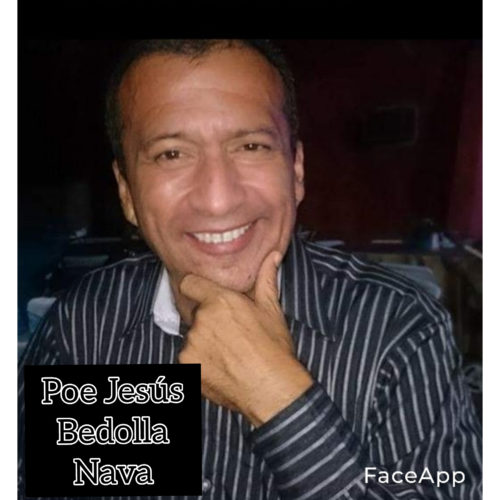 Política en Línea