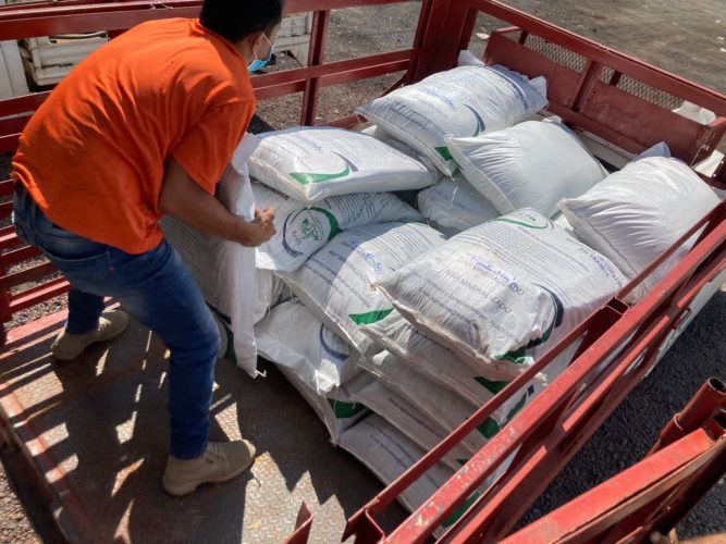 "Fertilizan" a productores de Apatzingán 