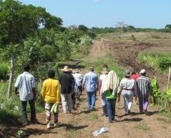 Imparcial y contundente escrito dirigido a AMLO, plantea  hartazgo por inseguridad en Michoacán