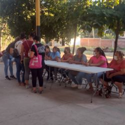 Eligen sin problemas encargada del orden en la Niños Héroes, de Apatzingán