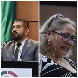 Diputada del PVEM también exige la renuncia del Secretario de Seguridad Pública del Estado