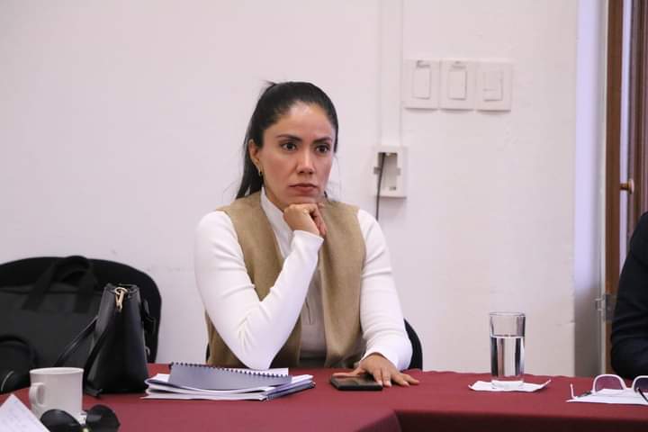 Necesario abatir el rezago en salud en Michoacán: Fanny Arreola