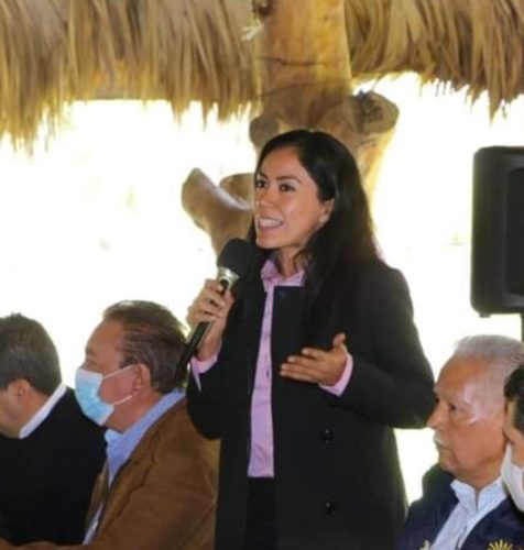 Michoacanos, entre los que más aportan al PIB nacional: Fanny Arreola