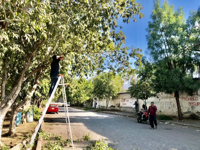 Con 100 nuevos-comerciantes se integra tianguis "Las Pulgas", en Apatzingán