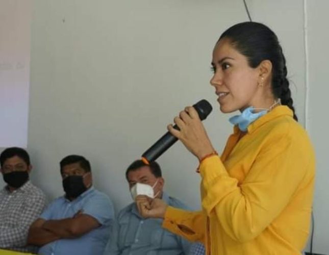 Es urgente que Conacyt modifique reglamento de becas género e inclusión: Fanny Arreola