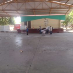 Desairada la votación de "Revocación de Mandato" 