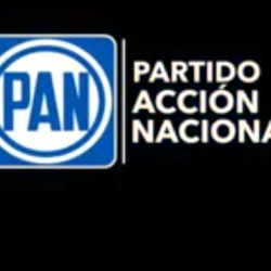 Preocupa al PAN centralización de órganos electorales: Cortez