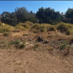 Fraccionan "Chumbícuaro", a precios populares