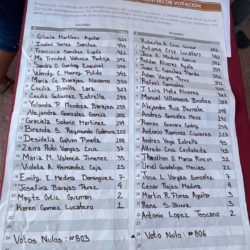 4,500 personas participan en elección del Consejo de Morena